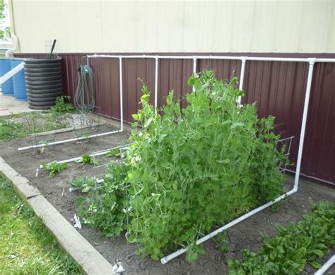 Система полива своими руками | Садовые поделки, Аквапоника, Сады на ...