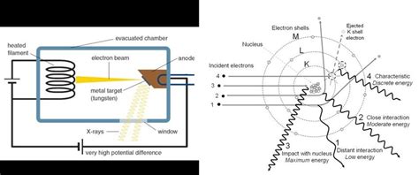 1 Schemes Of Left An X Ray Tube Image Extracted From Jacaranda