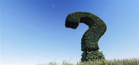 gute fragen im coaching designik