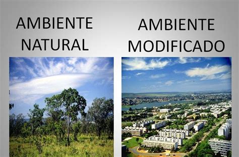 Imagens De Paisagem Natural E Modificada - RETOEDU