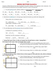 Genetics Study Bikini Bottom Organisms Course Hero