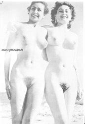 Thesandfly Retro Public Thrillseekers Zb Porn