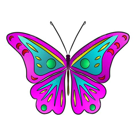Gambar Kupu Kupu Ungu Kupu Kupu Contoh Ungu Png Dan V