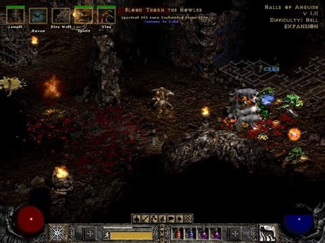 Conqueror Cosmo Vanilla HC Naked Druid By Insane Wayne Page PureDiablo The