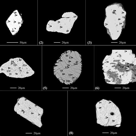 BSE Images Of Various Ferromagnetic Titanhematite Grains They Are Most