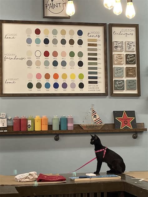 Cat Depot Fundraiser 2025 | Nailed It® DIY Studio Sarasota