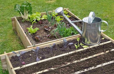 Quelle quantité de terre pour son jardin potager My Living Bloom