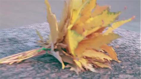 Milena D Sunna Model Page Xvideos