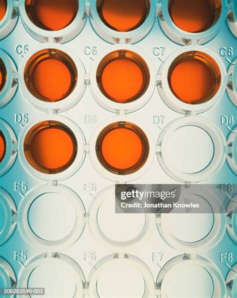 dna replication stock  high res pictures  images getty