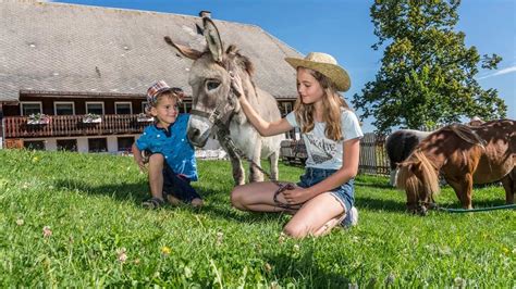 Bauernhofurlaub in Baden Württemberg familien ferien