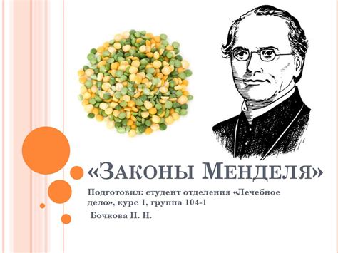 Законы Менделя - online presentation