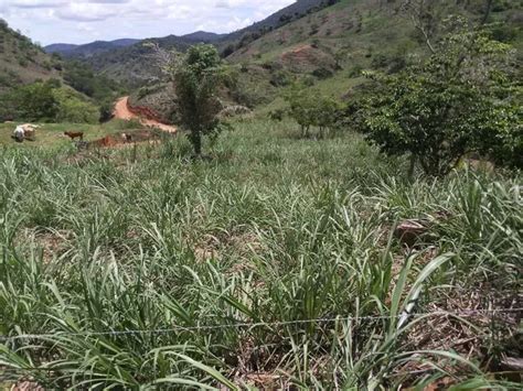 Fazenda Sítio Chácara para venda tem 68 metros quadrados em Centro