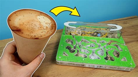 Стакан с Мухами для моих Муравьев! Что случилось с муравьиной канатной ...