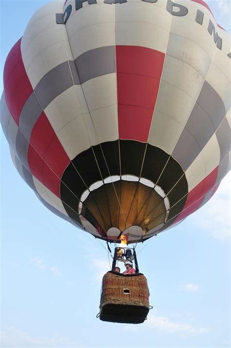 Blue and Teal Hot Air Balloon Near Pink and Blue Hot Air Balloon · Free