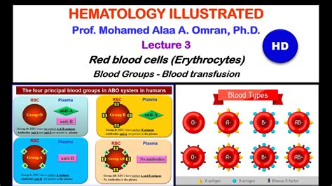 Hematology Lecture 3 2020 Hd Youtube