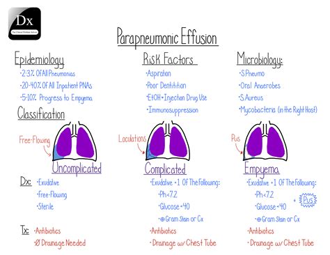 Parapneumonic Effusion The Clinical Problem Solvers