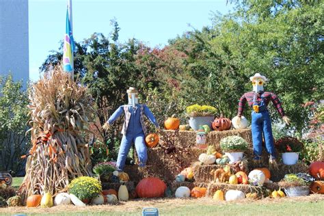 October Yard Decorations 1 Millennial Boss