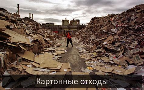 Переработка картона червями в удобрение - Диптера