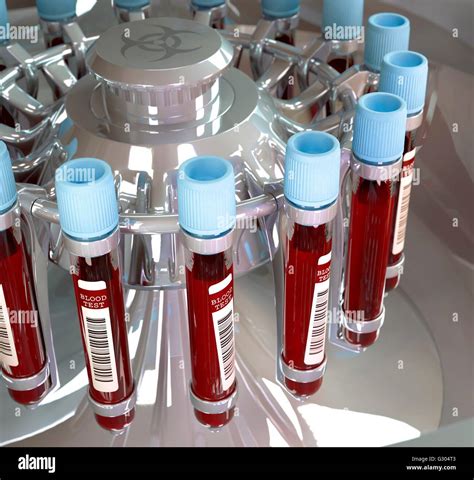 Why Do We Centrifuge Blood Samples At Ruby Williams Blog