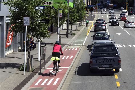 Commuters are loving the new west harbor auckland walking paths 2