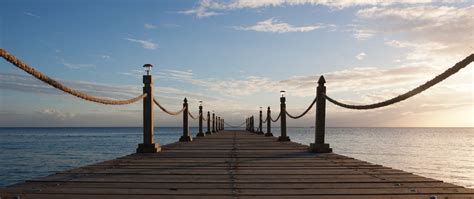 Understanding the Role of the Peer Advocate | Blog