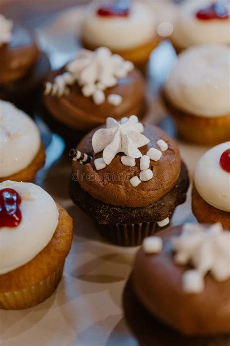 Hot Cocoa Cupcakes With Delectable Frosting And Delightful Toppings