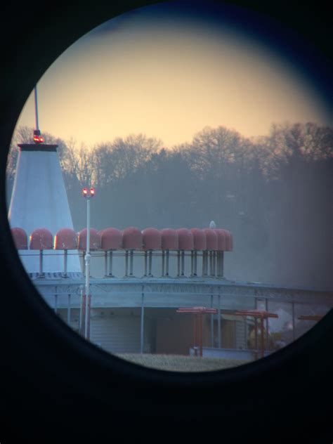 Birders spot snowy owl during annual Washington area Christmas Bird