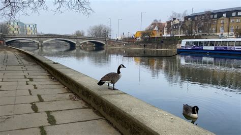 Maidstone Walk Empty Fremlin Walk Crown Court Archbishops Palace