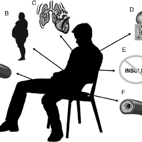 Schematic Depicting The Effect Of Sedentary Behavior Sb On