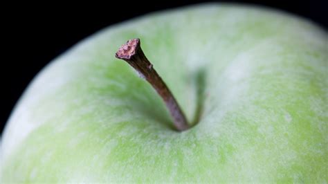 Download Wallpaper 2560x1440 Apple Fruit Green Macro Widescreen 169