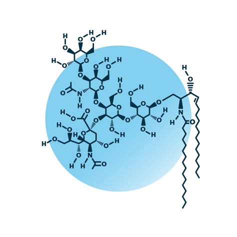 GM1 Ganglioside Analysis - Lipid Analysis - Lipotype GmbH