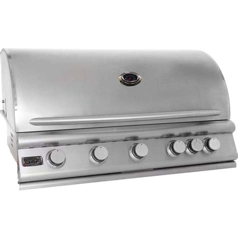 Broilchef Premium 5 Burner Built In Natural Gas Bbq Bbq The Home