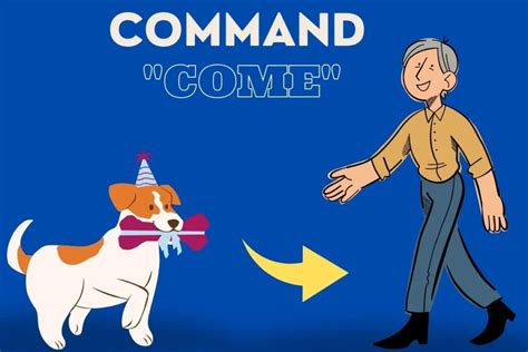 how to teach dog their name