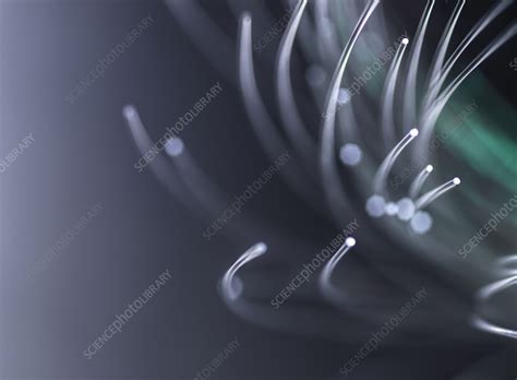 Fibre optics - Stock Image - F036/9093 - Science Photo Library 