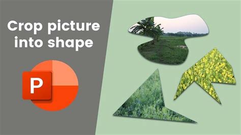 An Image Of Crop Pictures With The Text Crop Picture Into Shape