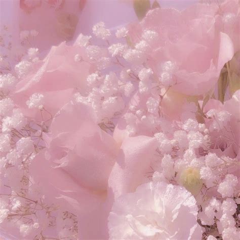 pink aesthetic soft pink widget aesthetic pastel pink aesthetic