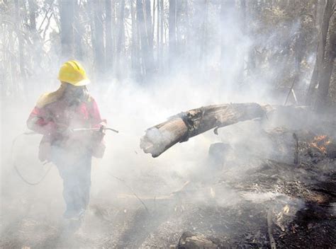 Incendio Destruye 180 Hectáreas Del Parque Tunari