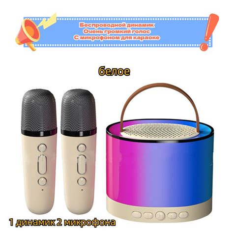 Портативная КАРАОКЕ система, колонка с двумя микрофонами Подарки для ...