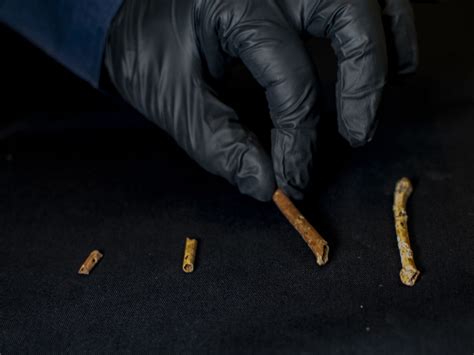 В Израиле обнаружены 12000-летние манки, изготовленные для подражания ...