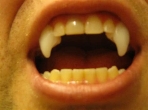 Plastic Vampire Teeth Cosplay Diy Vampire Teeth Halloween Fun