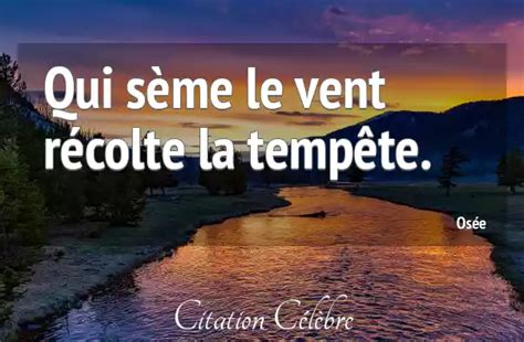 Citation Os E Vent Qui S Me Le Vent R Colte La Temp Te