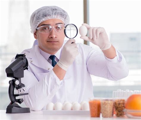 Nutrition Expert Testing Food Products in Lab Stock Photo - Image of ...