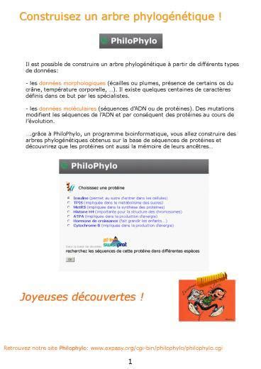 Ppt Il Est Possible De Construire Un Arbre Phylog Powerpoint