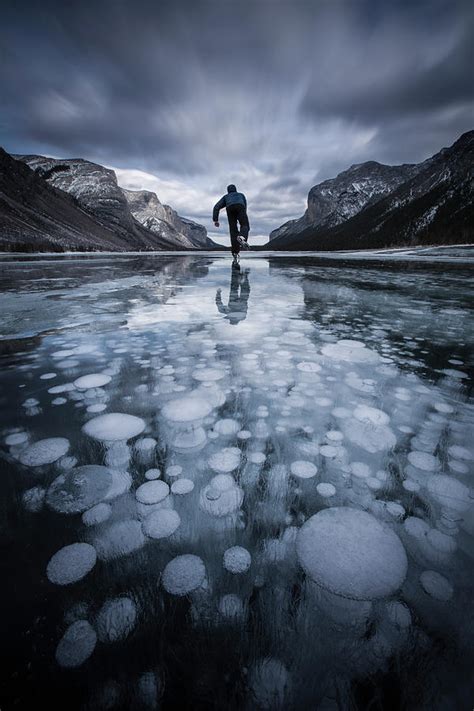 Frozen Methane Bubbles In Lake Photograph By Paul Zizka