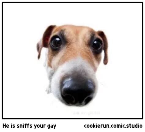 He Is Sniffs Your Gay Comic Studio