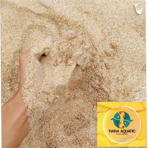 jual pasir pantai kg shopee indonesia