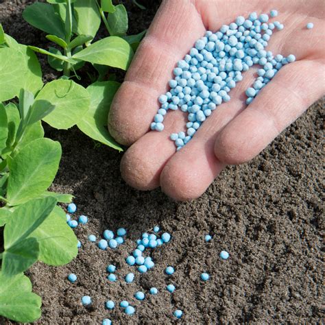 Liquid Fertilizer In Bangladesh at James Jain blog