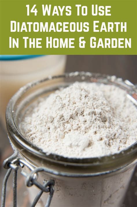 how to use diatomaceous earth in home