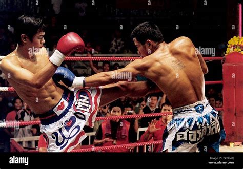 beautiful boxer asanee suwan  stock photo alamy
