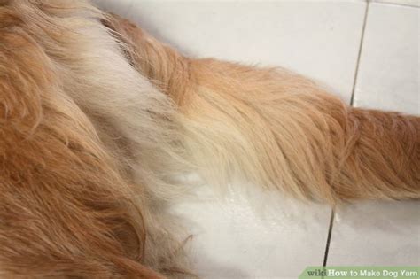 How To Make Dog Yarn 15 Steps With Pictures Wikihow
